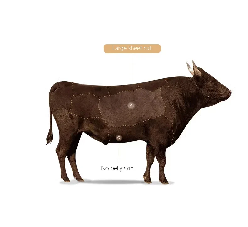 Sac à Épaule Femme Haut de Gamme - Élégance et Polyvalence 23 Sac à Épaule Femme Haut de Gamme vache